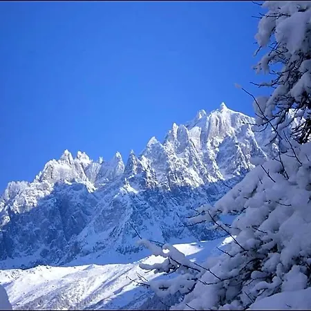 Le Montagny Les Houches