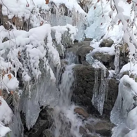 Le Montagny Les Houches